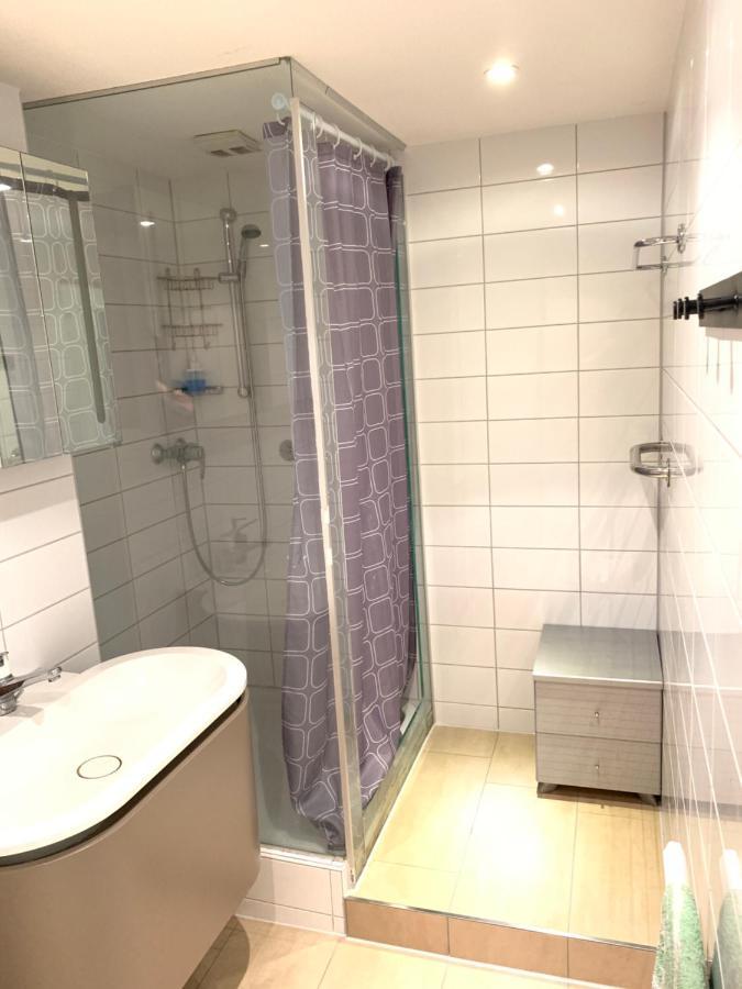 Xl City Center Apartment-Contactless Check-In Basel Dış mekan fotoğraf